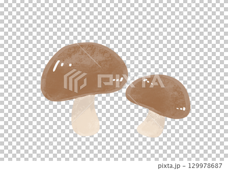 香菇蘑菇例證 香菇蘑菇例證 129978687