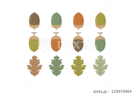 シンプルな秋のどんぐりと葉のイラストセット 129978964
