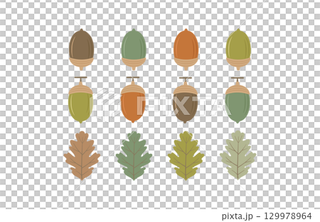 シンプルな秋のどんぐりと葉のイラストセット 129978964