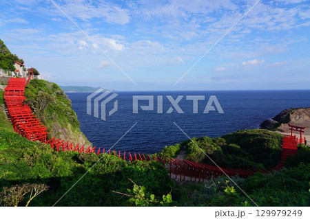 赤い鳥居　　元乃隅神社343 129979249