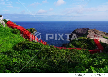 赤い鳥居　　元乃隅神社381 129979253