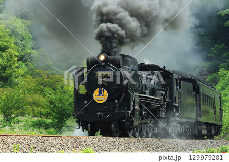SLやまぐち号 D51 2686 SLやまぐち号 D51 2686 129979281