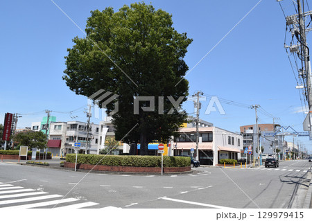 神奈川県藤沢市 六会日大前駅東口の街並み 129979415