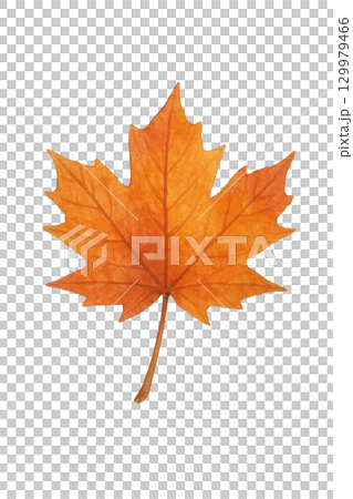 秋天的落葉 129979466