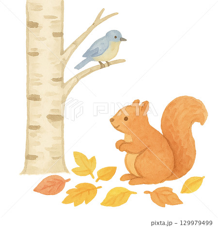白樺とリスと小鳥のイラスト（秋・水彩風） 129979499