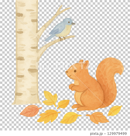 樺樹、松鼠和鳥的插圖(秋天,水彩風格) 樺樹、松鼠和鳥的插圖(秋天,水彩風格) 129979499