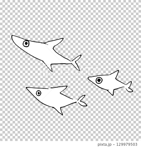 魚の親子 129979503