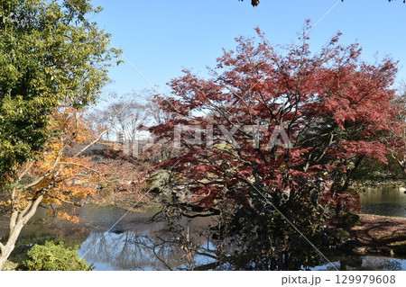 紅葉のある風景 129979608