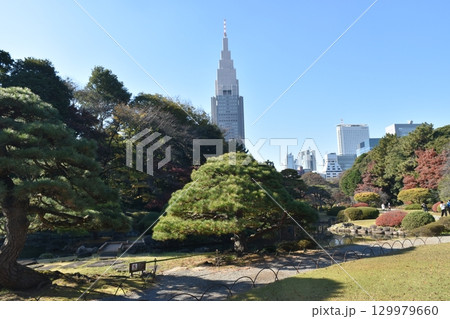 庭園から見た風景 129979660