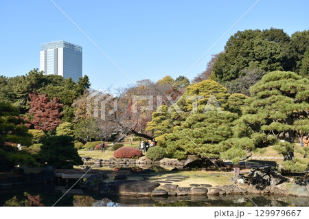 紅葉と高層ビル 129979667