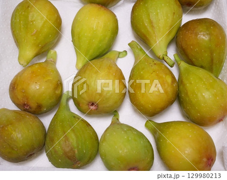 たくさんのイチジク 129980213