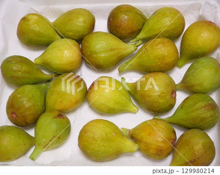 たくさんのイチジク 129980214