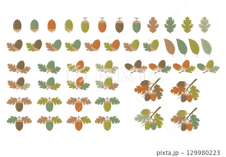 シンプルなどんぐりの枝と葉っぱの秋イラストセット シンプルなどんぐりの枝と葉っぱの秋イラストセット 129980223