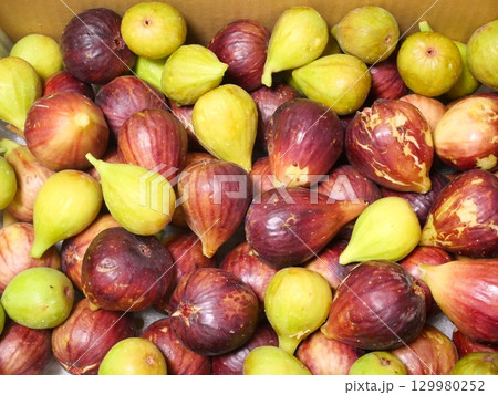 無花果おいしいよ 無花果おいしいよ 129980252