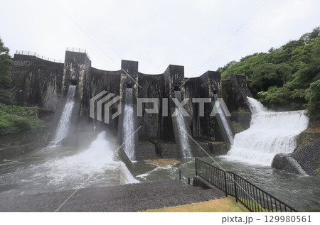 香川県観音寺市大野原町田野々、国重文「豊稔池堰堤」ユル抜き 129980561