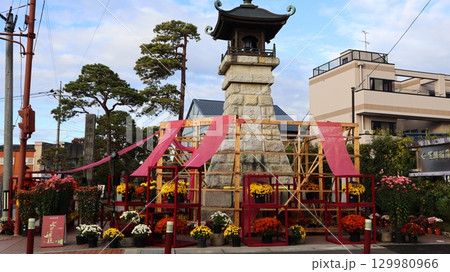 笠間の菊まつり 129980966