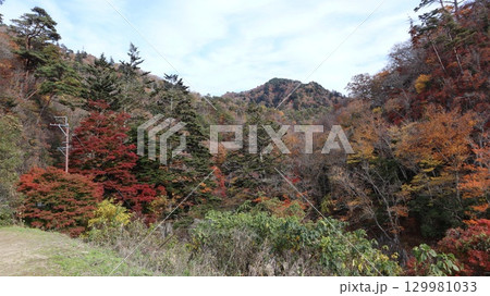 紅葉した山　夏井川渓谷　 129981033