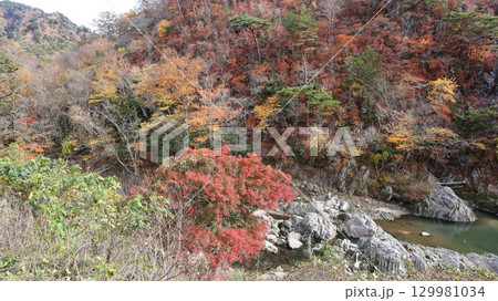 紅葉した山 夏井川渓谷 紅葉した山 夏井川渓谷 129981034