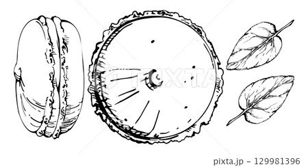 Mint leaf, herbal garnish for macarons and whoopie pies, sandwich cake cookie with mousse inside. Vector ink isolated hand drawn illustration. Patisserie signage, cookbook spot art, dessert prints. 129981396