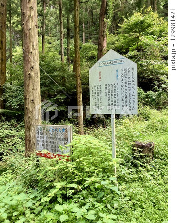 ごっくん水の看板 ごっくん水の看板 129981421
