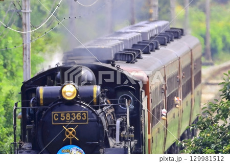 蒸気機関車(秩父鉄道) 蒸気機関車(秩父鉄道) 129981512