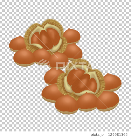 秋の味覚_栗 秋の味覚_栗 129981563