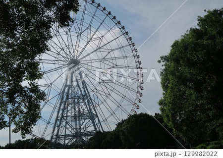 木に囲まれた葛西臨海公園の大観覧車 129982022