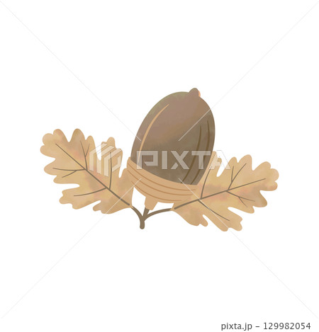 水彩風のどんぐり秋イラスト 葉っぱ付き 濃茶 129982054