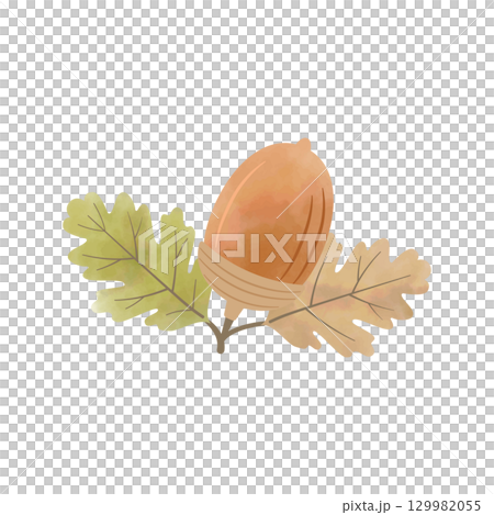 水彩風格橡子秋季插圖，有棕色的葉子 129982055