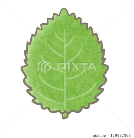 R:もっとメルヘンな野菜☆紫蘇・大葉① R:もっとメルヘンな野菜☆紫蘇・大葉① 129982068