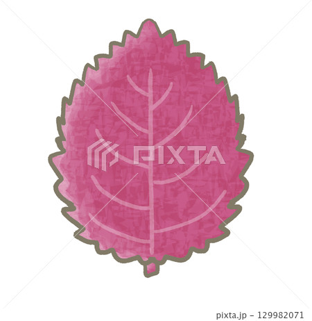 R:もっとメルヘンな野菜☆紫蘇・大葉④ 129982071