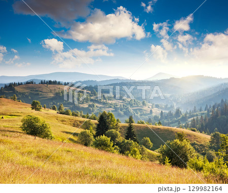 sunny mountain landscape sunny mountain landscape 129982164