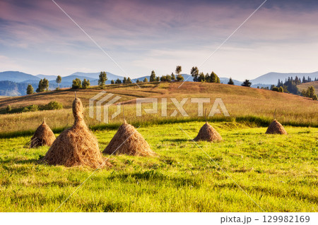 sunny mountain landscape sunny mountain landscape 129982169
