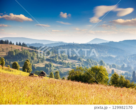 sunny mountain landscape 129982170