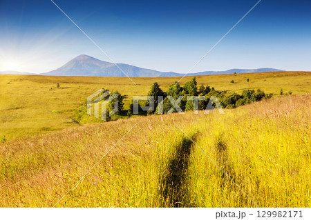 sunny mountain landscape 129982171