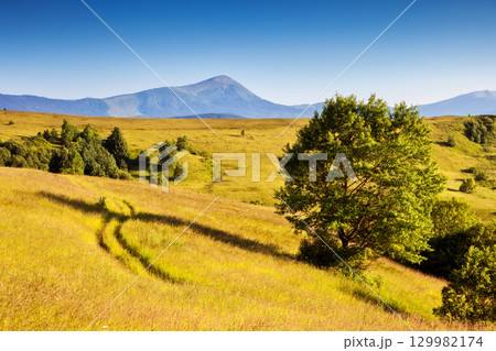sunny mountain landscape sunny mountain landscape 129982174
