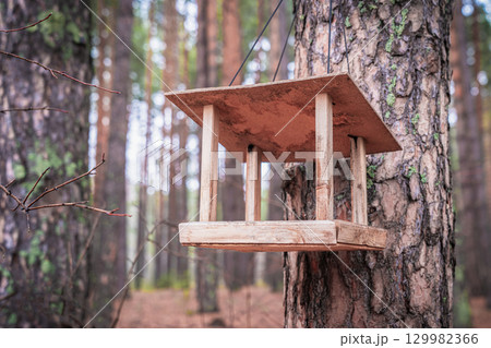 Wooden bird feeder hangs from a tree in a tranquil forest during autumn, perfect for nature walks in October and November 129982366