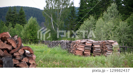 Firewood arranged in neat stacks on a green field, surrounded by lush trees and shrubs. The peaceful forest landscape features a backdrop of distant mountains under a cloudy sky. Firewood arranged in neat stacks on a green field, surrounded by lush trees and shrubs. The peaceful forest landscape features a backdrop of distant mountains under a cloudy sky. 129982437