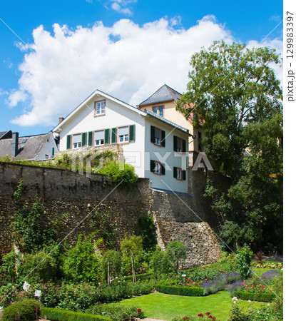 Beautiful garden with trees; flowers and full summer bloom. A lot of houses around the garden. 129983397