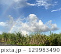 虹のある風景（雨上がりの畑から見えた空） 129983490