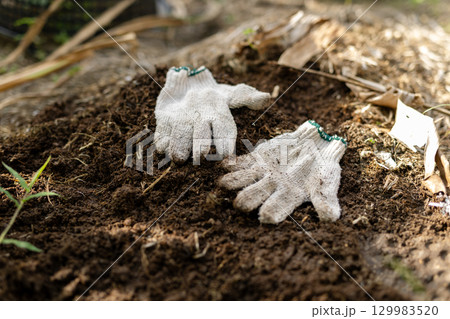 家庭菜園と堆肥作り サステナブルな暮らしのコンセプトイメージ 家庭菜園と堆肥作り サステナブルな暮らしのコンセプトイメージ 129983520