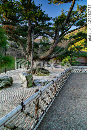 特別名所 栗林公園の朝焼け 特別名所 栗林公園の朝焼け 129983737