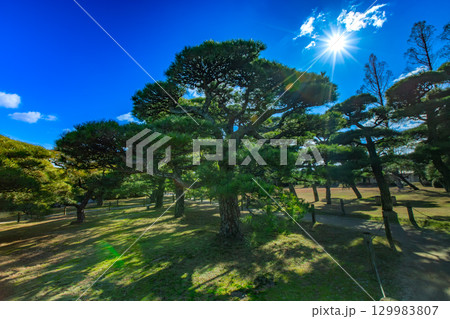 香川県丸亀市　中津万象園 129983807