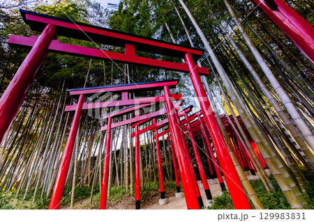 香川県丸亀市　中津万象園 129983831