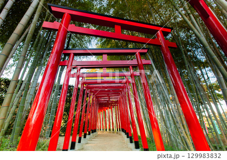 香川県丸亀市　中津万象園 129983832