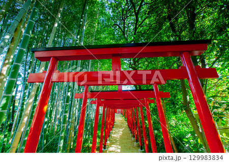 香川県丸亀市　中津万象園 129983834
