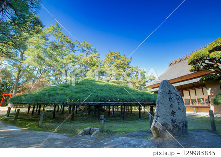 香川県丸亀市 中津万象園 香川県丸亀市 中津万象園 129983835