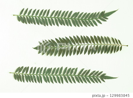 Pressed and dried flower isolated on white background. For use in floral patterns, compositions, herbariums, scrapbooking, floristry. 129983845