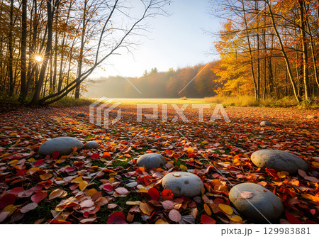 A picturesque autumn forest glade, strewn with colorful leaves and stones. A picturesque autumn forest glade, strewn with colorful leaves and stones. 129983881