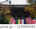 愛知県豊田市小原町の四季桜公園では、秋になると紅葉と白い四季桜が調和して美しい景色を見せます。 129984094